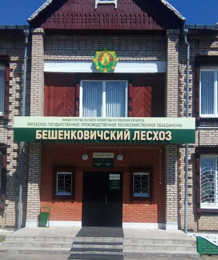Оформление фасада Бешенковичского лесхоза - фото